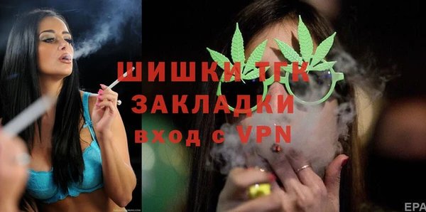 гидропоника Алзамай