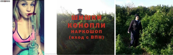 гидропоника Алзамай