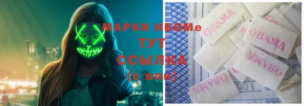 гидропоника Алзамай