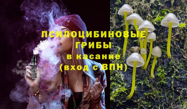 гидропоника Алзамай