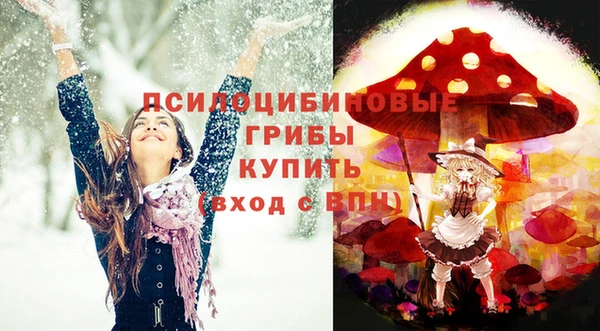 прущий лед Алексин