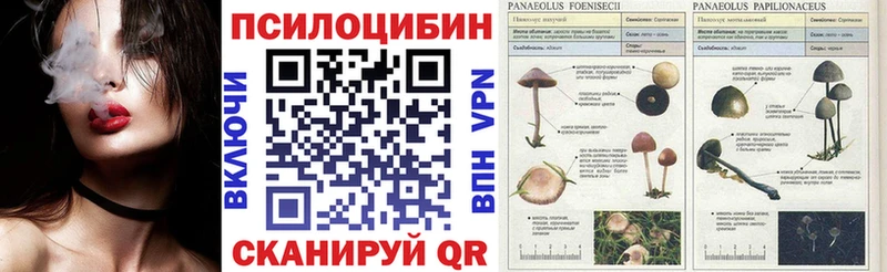 Галлюциногенные грибы Cubensis  omg ONION  Зеленоградск 